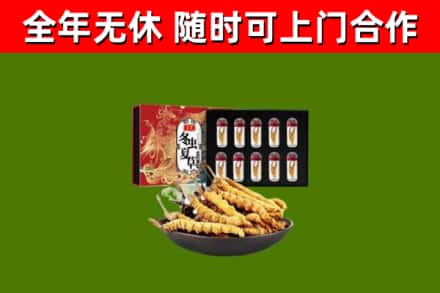 梁平区回收冬虫夏草价格